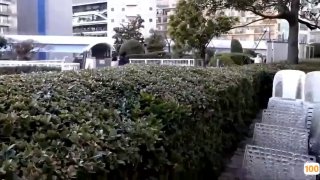 迷人的保姆中文字母版HD在线观看🔞